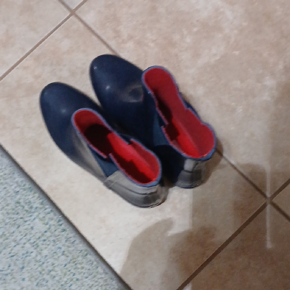 Chic Blue and Red Ankle Boots